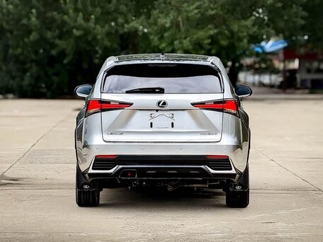 2020 Lexus NX 200 I Рестайлинг, серый, 2550000 рублей, вид 5