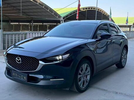 Mazda CX-30 I