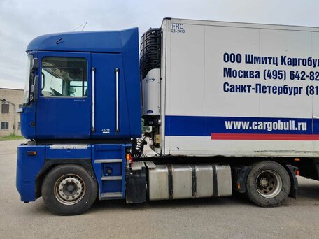 2011 Renault Magnum, синий, 2100000 рублей, вид 5
