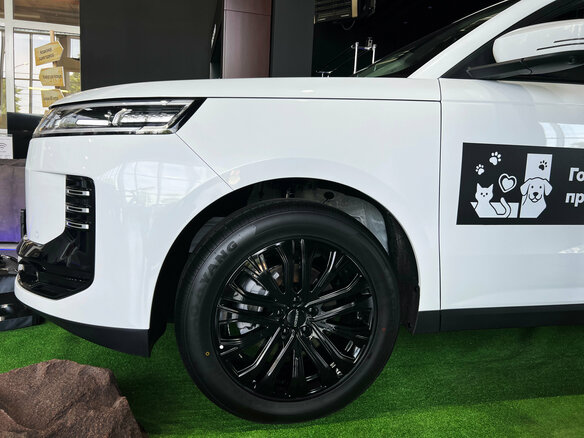2026 Jaecoo J6, белый - вид 12