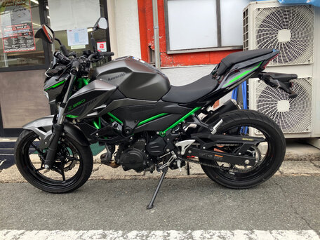 2024 Kawasaki Z 250, серый, 480000 рублей, вид 2