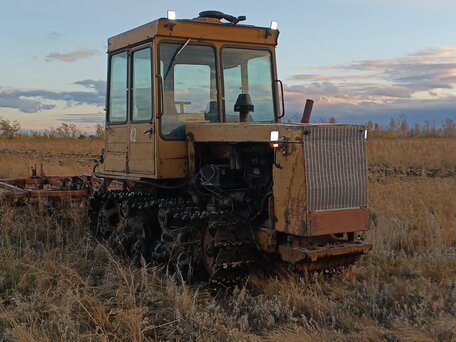 1991 ВгТЗ ДТ-75, жёлтый, 250000 рублей, вид 2