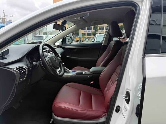 2021 Lexus NX 200 I Рестайлинг, белый, 3300000 рублей - вид 6