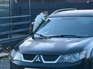 2007 Mitsubishi Outlander II, чёрный, 895000 рублей, вид 2