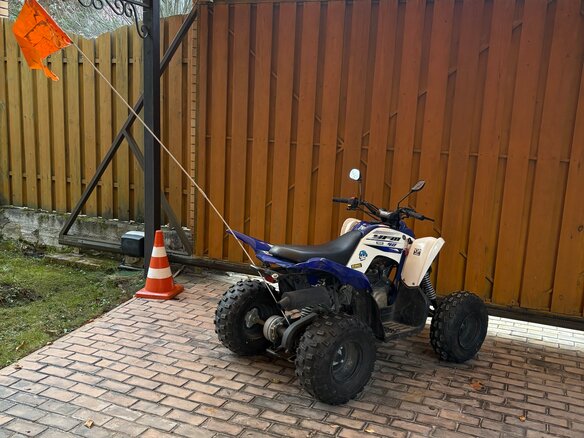 2016 Yamaha Raptor YFM90, синий, 270000 рублей - вид 12