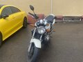 1999 Honda CB 600F Hornet, белый, 280000 рублей - вид 6