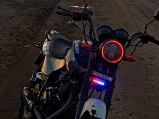 Racer Tiger