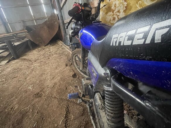 2025 Racer Alpha, синий, 55000 рублей - вид 1