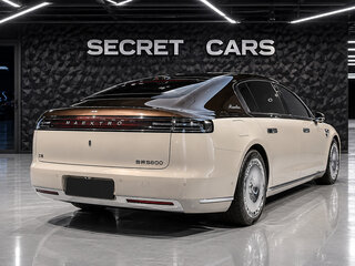 2026 Maextro S800, коричневый, 21400000 рублей, вид 2