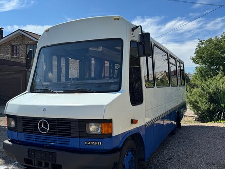 1995 Mercedes-Benz Vario, белый, 650000 рублей, вид 2