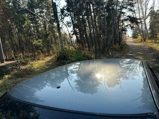 2010 Lada (ВАЗ) Priora I, серый, 135000 рублей, вид 5