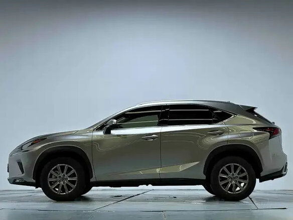 2020 Lexus NX 200 I Рестайлинг, серый - вид 7