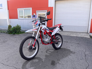 2026 Wels MX250R, белый, 107400 рублей, вид 1