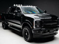 2025 Ford F-250, чёрный, 13800000 рублей - вид 9