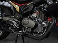 2026 Sharmax RST 240, чёрный, 219900 рублей - вид 6