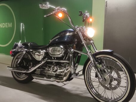 2003 Harley-Davidson XL1200, синий, 850000 рублей, вид 1