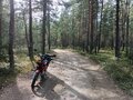 2023 Honda Cross Cub, красный, 290000 рублей - вид 5