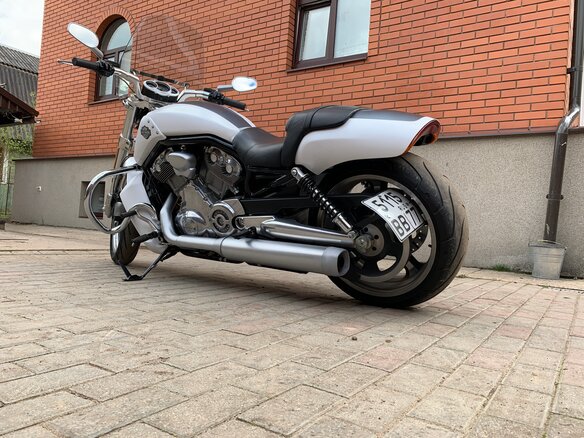 2014 Harley-Davidson V-Rod Muscle, белый - вид 3