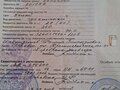 1998 Рысь 440, белый, 165000 рублей - вид 6