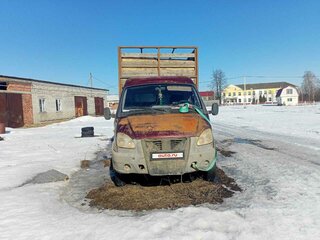 2004 ГАЗ ГАЗель (3302), пурпурный, 500000 рублей, вид 4
