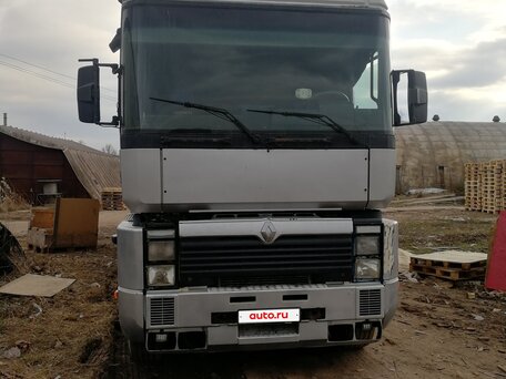 1996 Renault Magnum, серебристый, 550000 рублей, вид 2