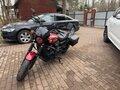2016 Harley-Davidson Street 750, красный, 585000 рублей - вид 1