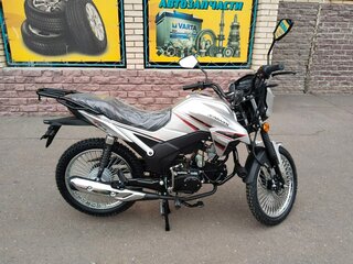 2024 Другие Мопеды (другие), серебристый, 92150 рублей, вид 2