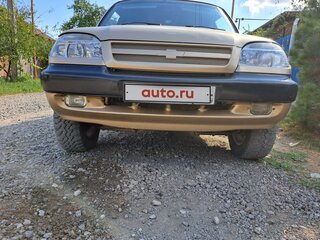 2006 Chevrolet Niva I, бежевый, 470000 рублей, вид 2