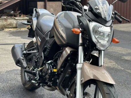 2022 Motoland Bandit 250, коричневый, 98500 рублей, вид 4