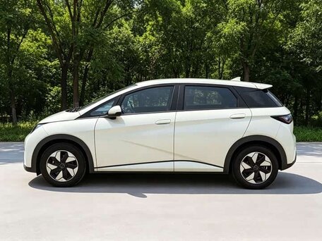 2025 BYD Dolphin 44.9 kWh I, бежевый, 1670000 рублей, вид 5