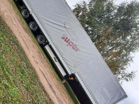 2005 Fliegl SDS 350, серый, 1750000 рублей, вид 4