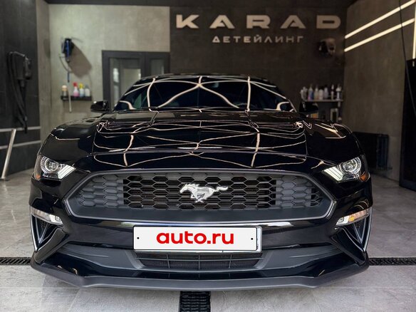2019 Ford Mustang VI Рестайлинг, чёрный, 3200000 рублей - вид 11
