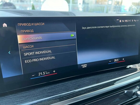2023 BMW X5 30d IV (G05/G18) Рестайлинг, серый - вид 27