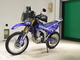 2017 Yamaha WR250R, синий, 595000 рублей, вид 4