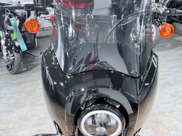 2015 Harley-Davidson Fat Bob, чёрный, 1099000 рублей - вид 18
