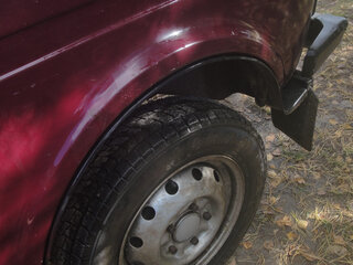 2004 Lada (ВАЗ) 2121 (4x4) I Рестайлинг, пурпурный, 179000 рублей, вид 3