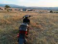 2000 Honda Dio, чёрный, 28000 рублей - вид 2