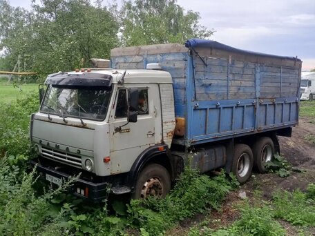 1989 КамАЗ 5320, серый, 500000 рублей, вид 2