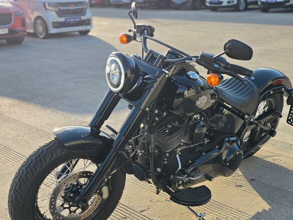 2016 Harley-Davidson Softail Slim, чёрный, 1450000 рублей - вид 25