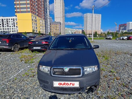 2006 Skoda Fabia I Рестайлинг, серый, вид 2