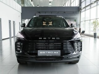2026 Esteo MX, чёрный, 3990000 рублей, вид 2
