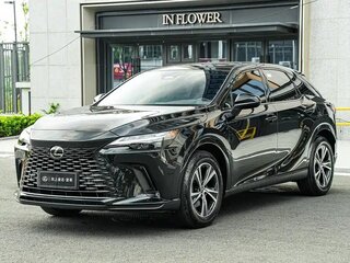 2025 Lexus RX 300 V, чёрный, 7642245 рублей, вид 1