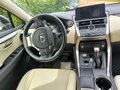 2021 Lexus NX 300 I Рестайлинг, серый, 4700000 рублей - вид 9
