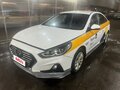 2019 Hyundai Sonata VII (LF) Рестайлинг, белый, 906400 рублей - вид 5