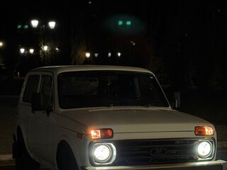 1993 Lada (ВАЗ) 2121 (4x4) I Рестайлинг, белый, 135500 рублей, вид 5