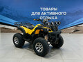 2026 Raptor MAX PRO 250, жёлтый, 231900 рублей