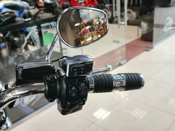 2019 Harley-Davidson Freewheeler, чёрный, 2800000 рублей - вид 9