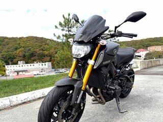 2014 Yamaha MT-09 (FZ-09), серый, 620000 рублей, вид 2