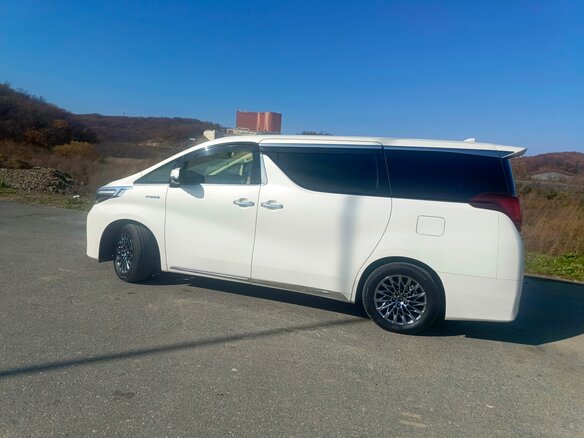 2019 Toyota Alphard III Рестайлинг, белый, 4450000 рублей - вид 11