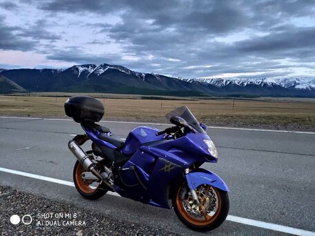 2000 Honda CBR 1100 XX, синий, 550000 рублей, вид 1
